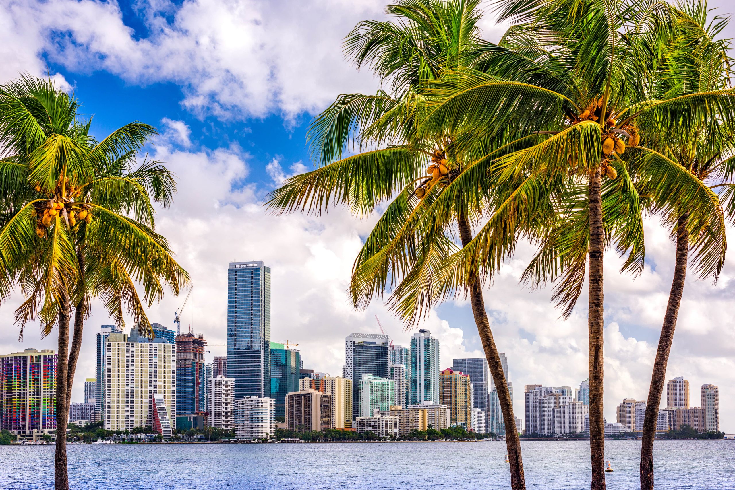 Miami Digital Marketing Company